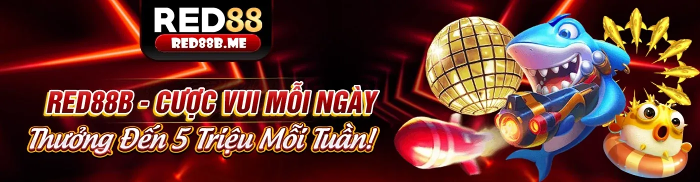 Đá gà Thomo ngày hôm nay - Sân đấu trực tiếp