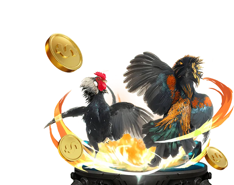 Luật chơi và Mẹo đặt cược Đá Gà Thomo